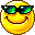 Cool Shades Cool Shades