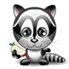 Raccoon Raccoon